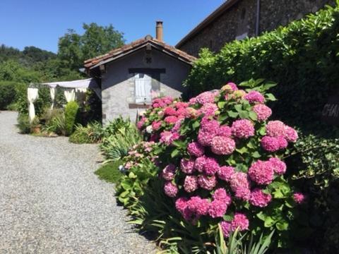 Loft Atypique Bed & Breakfast Villeneuve-de-Riviere Bagian luar foto