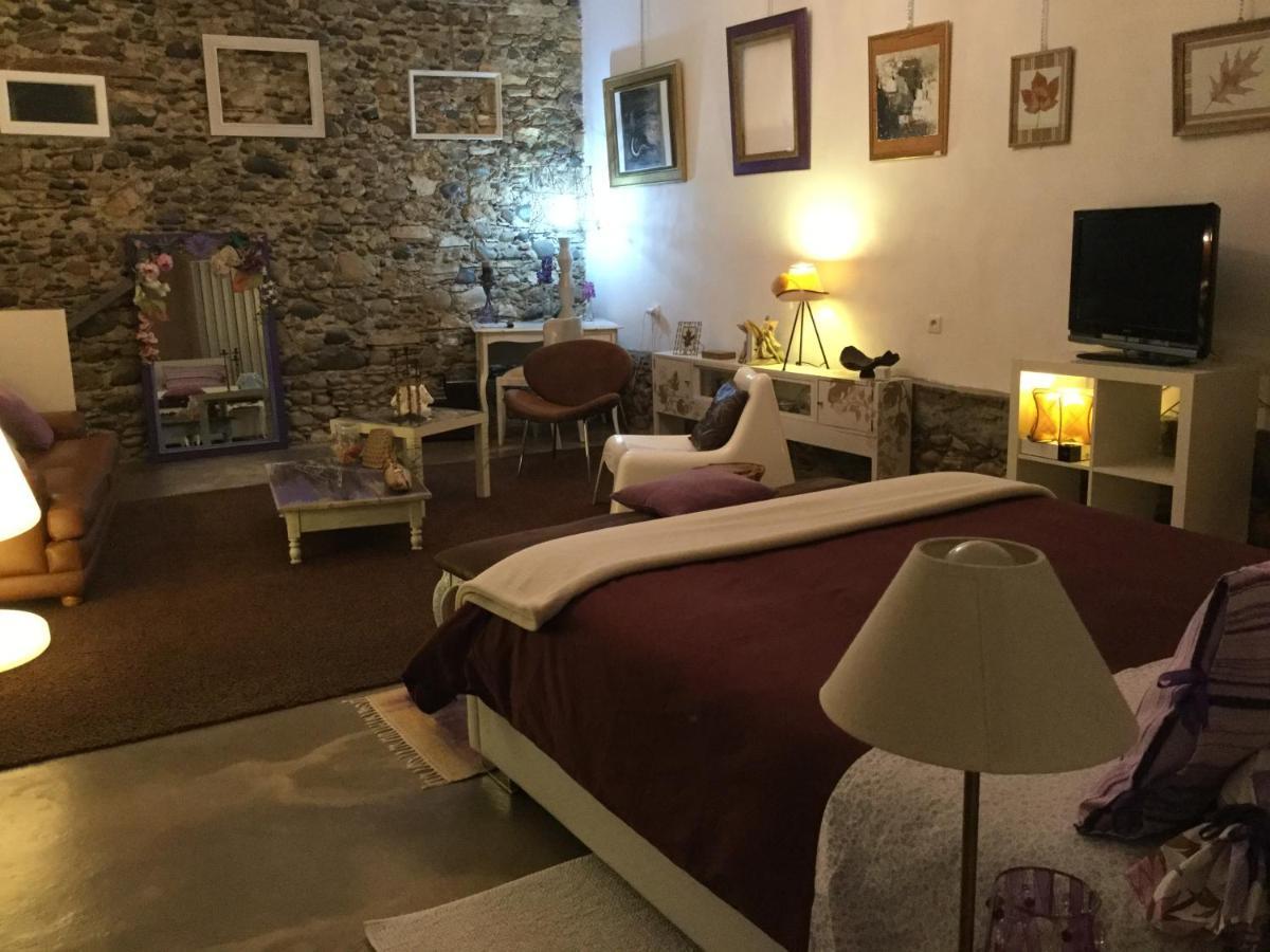 Loft Atypique Bed & Breakfast Villeneuve-de-Riviere Bagian luar foto
